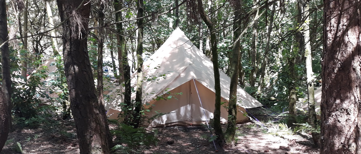 Wyldwood Forest Camping